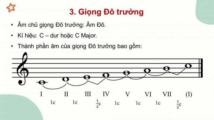 đô trưởng